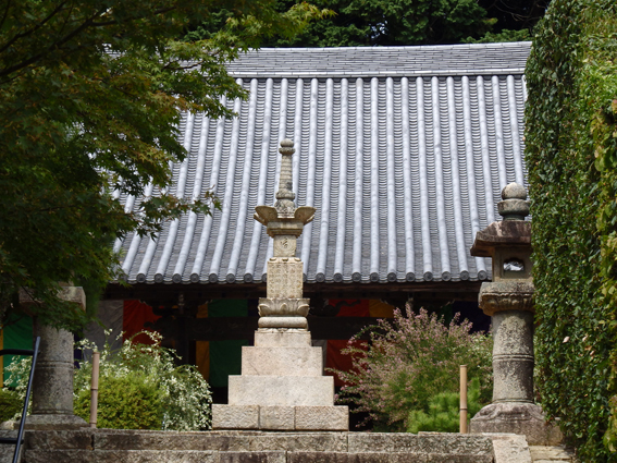d0218056_23563279.jpg