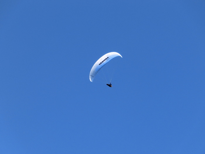 c0140260_22523.jpg