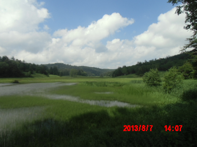 d0323161_15413570.jpg