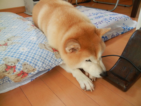 ’13,9,23(月)それぞれの秋!_f0060461_919223.jpg