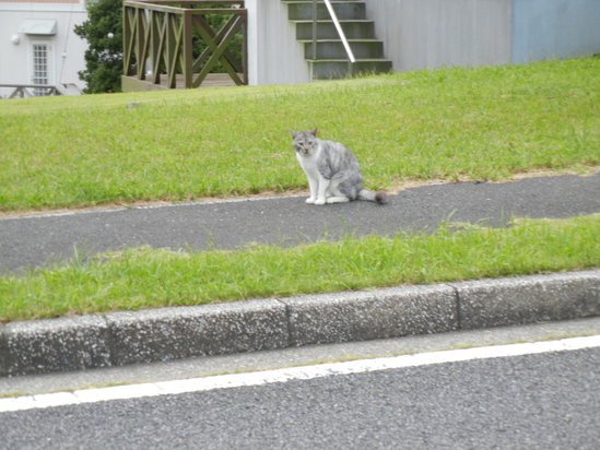 ’13,9,23(月)それぞれの秋!_f0060461_94291.jpg