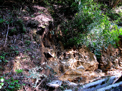 f0195172_02136.jpg