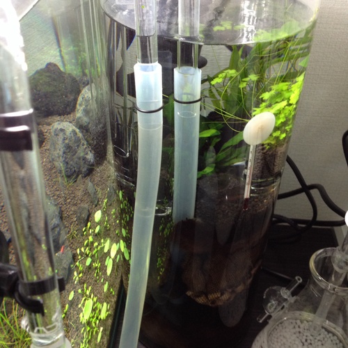 水槽のフィルターについて Third Time Aquarium 水槽のフィルターについて Third Time Aquarium