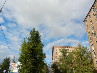 f0209878_19405335.jpg