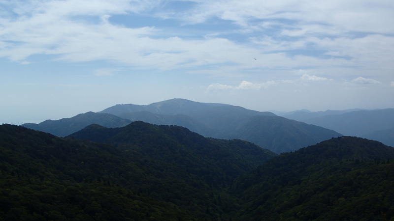 e0024081_848128.jpg