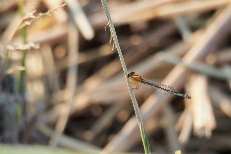 b0108186_23287.jpg