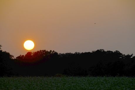 d0234293_1933766.jpg