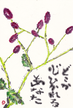 a0030594_21434089.gif