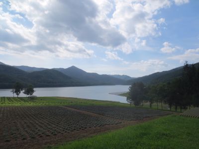 e0309700_12522130.jpg