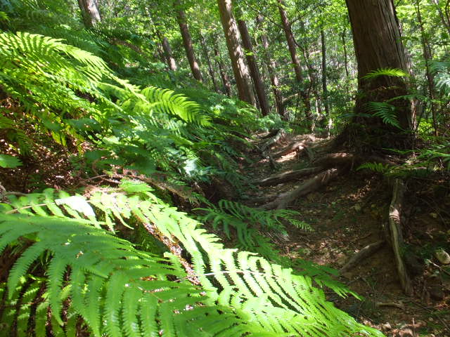 a0271502_10553917.jpg