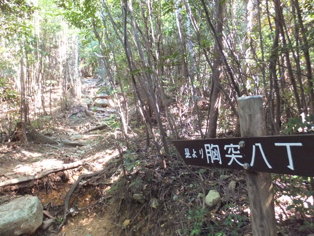 a0271502_11205927.jpg