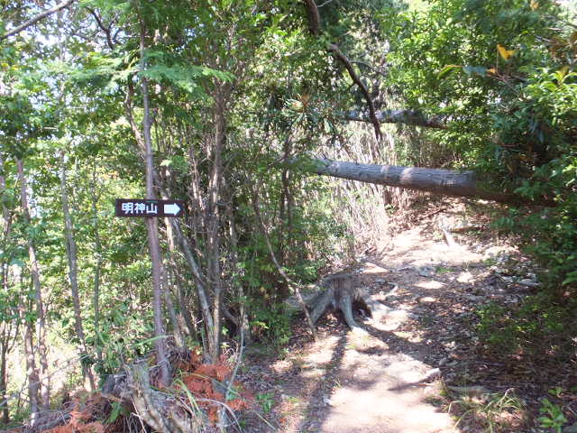 a0271502_11251064.jpg