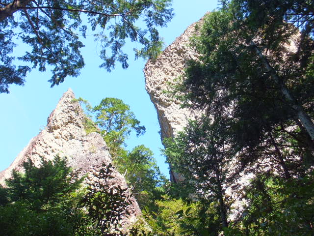 a0271502_1132828.jpg