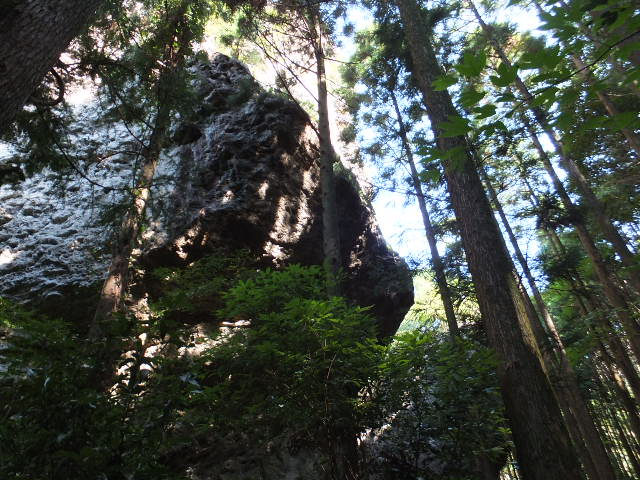 a0271502_1144039.jpg