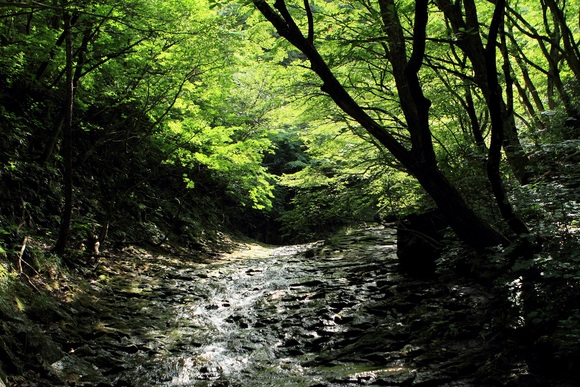 f0034602_19243541.jpg