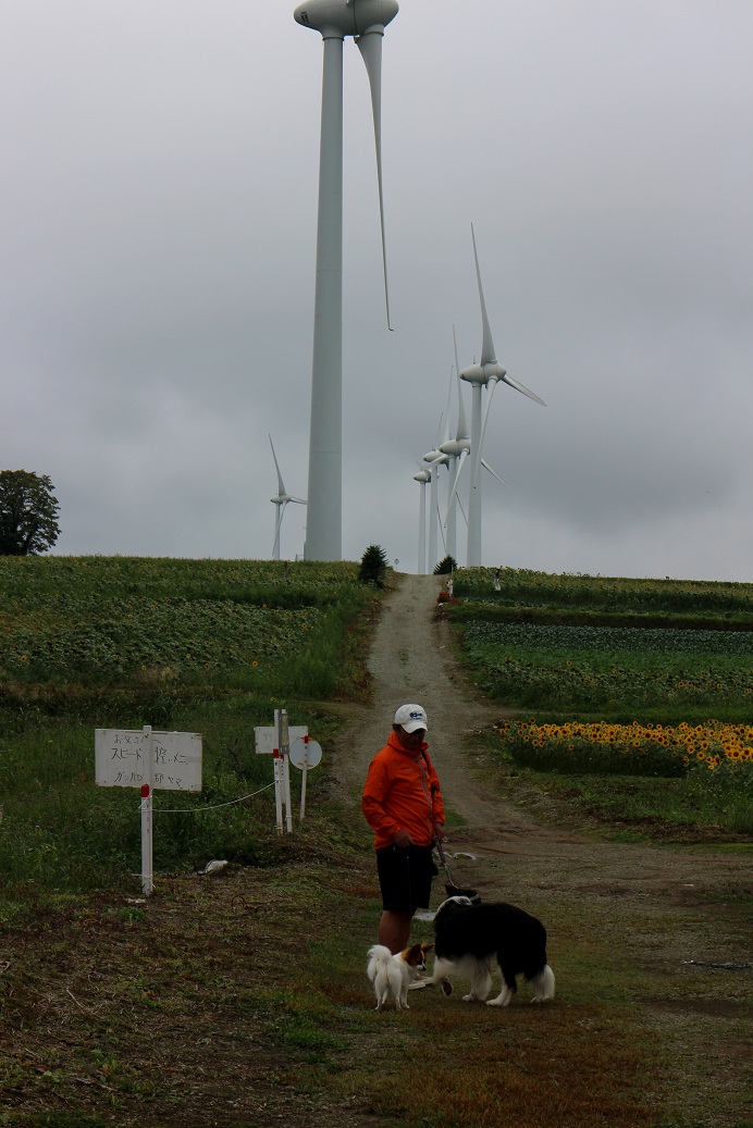f0034602_19325455.jpg