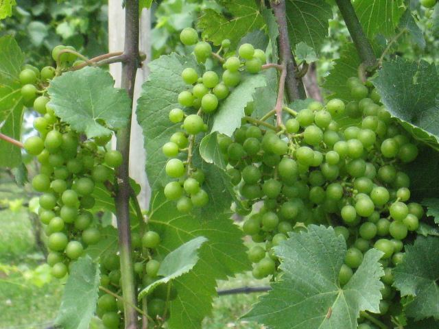 c0212604_22484327.jpg