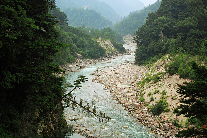 a0148606_1433968.jpg