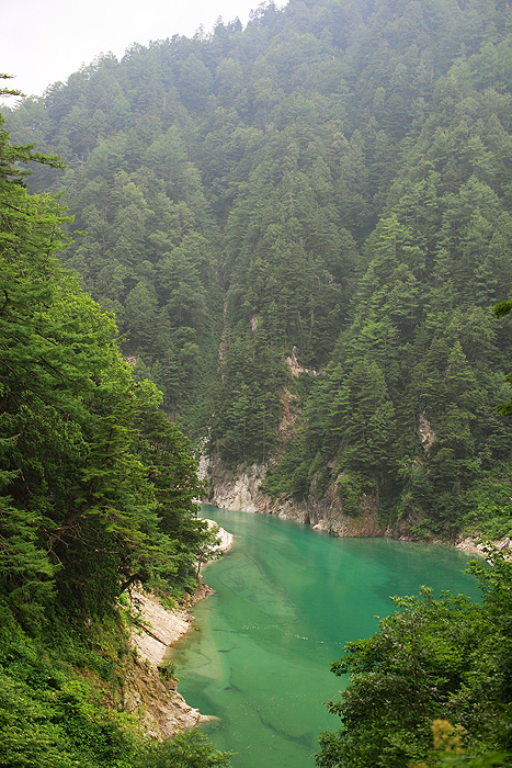 a0148606_14381625.jpg