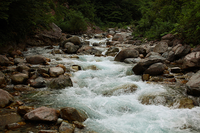 a0148606_1443105.jpg