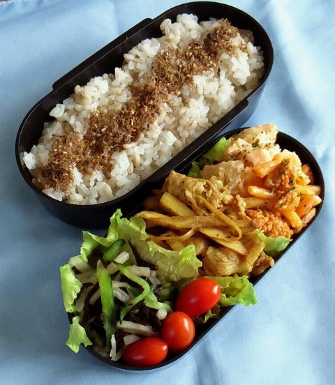 サラ弁。。。豚と牛蒡のカレー炒め弁当_a0211008_1810344.jpg