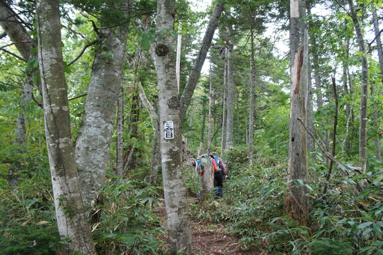 a0248508_16491617.jpg