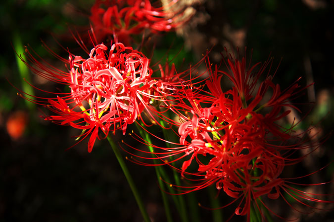 a0263109_2144034.jpg