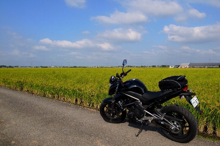 a0268412_22202345.jpg