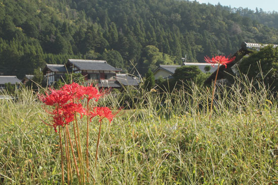 静原神社へ_e0048413_22232439.jpg