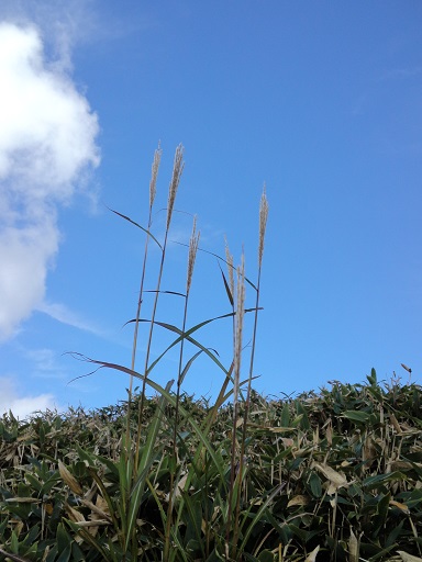 c0146714_1094598.jpg