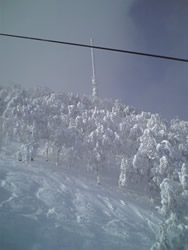 e0126914_23545215.jpg