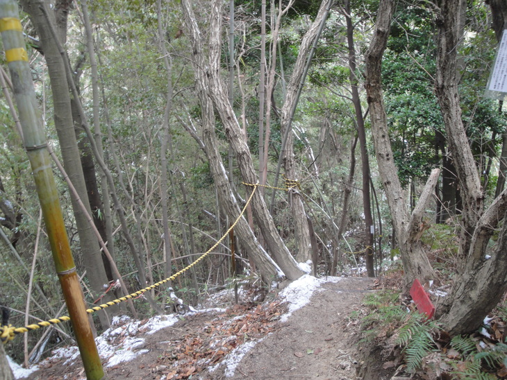 b0291016_2053463.jpg