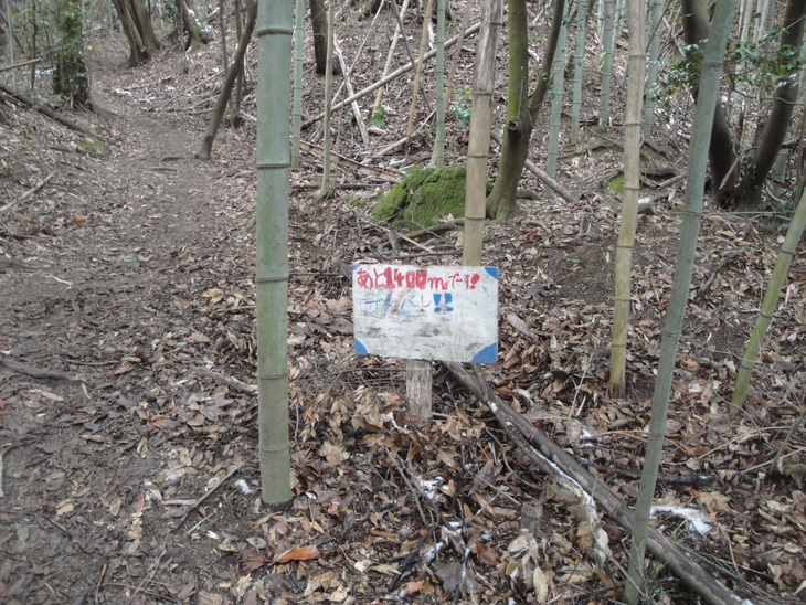 b0291016_20552727.jpg