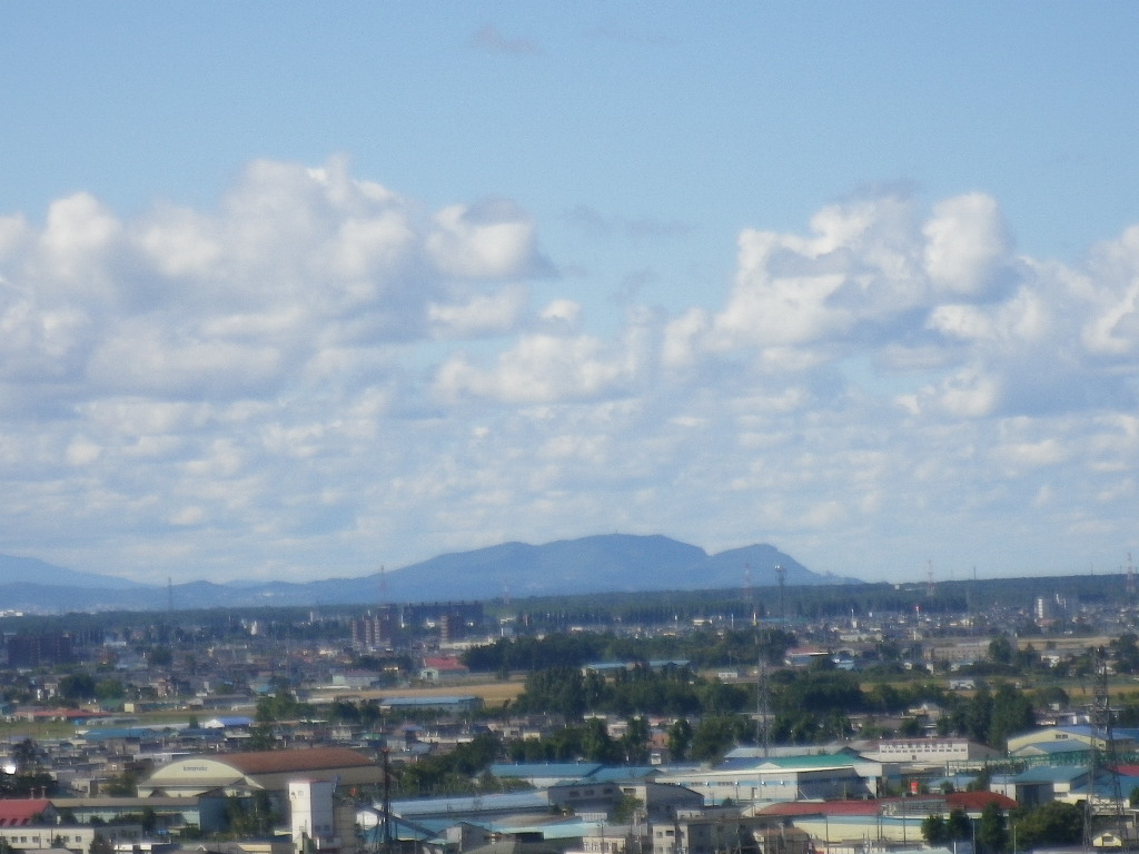 e0052716_1031084.jpg