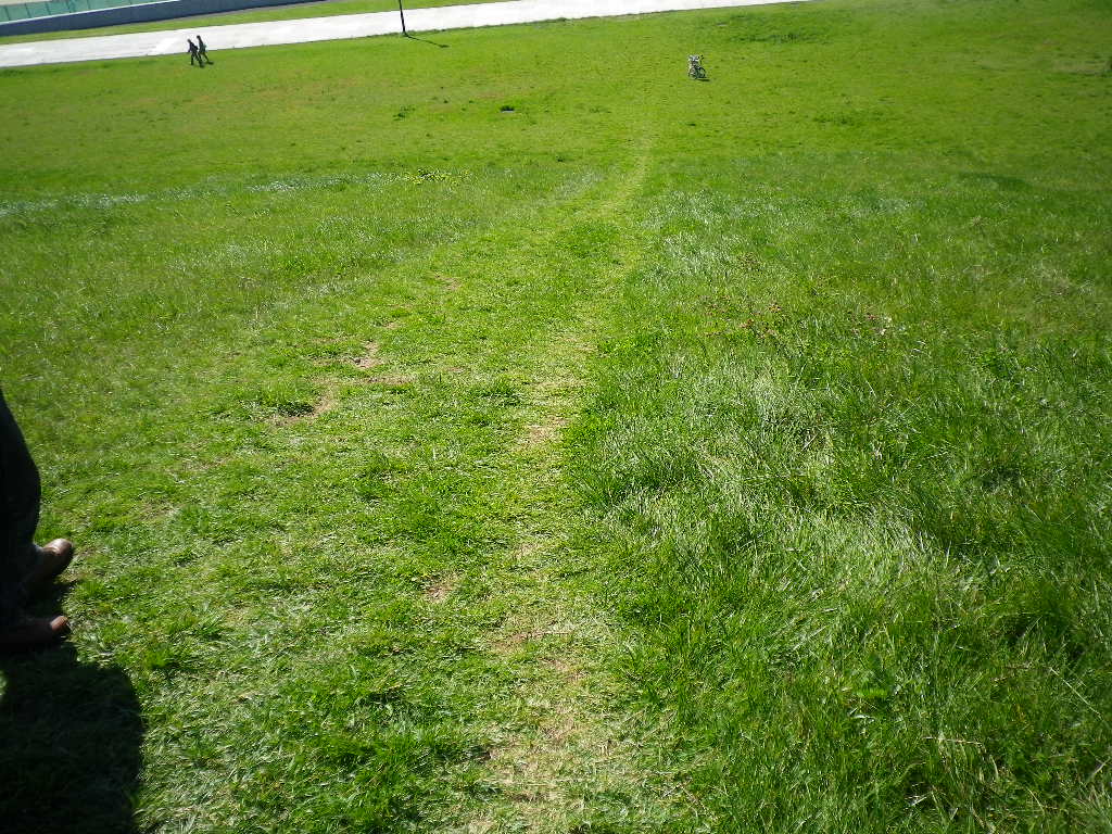 e0052716_10334560.jpg