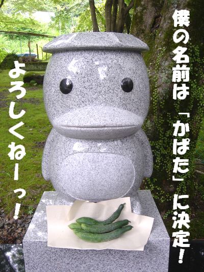 かっぱ像の名前が決まったよ_e0234016_14573150.jpg