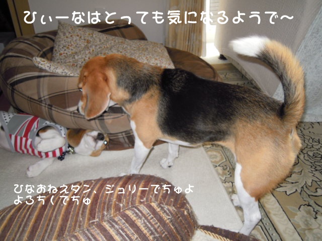 c0166622_10361062.jpg