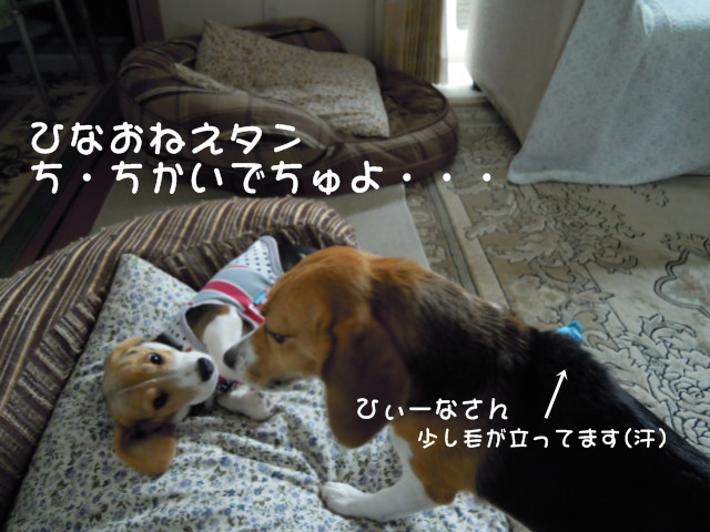 c0166622_10362437.jpg