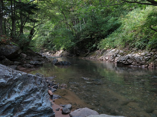 d0227723_2024268.jpg