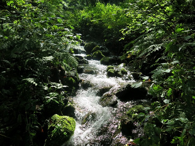 d0227723_20265214.jpg