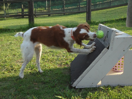 c0254426_23492182.gif