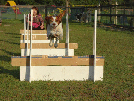 c0254426_2349855.gif