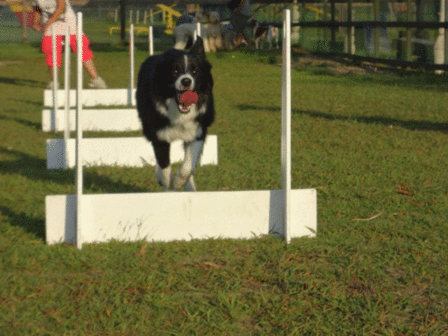 c0254426_2354544.gif
