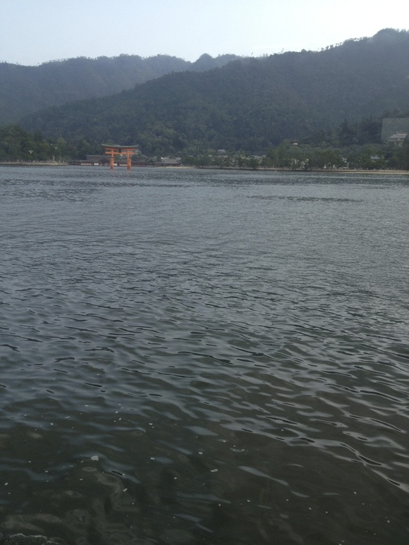 b0060029_9492871.jpg
