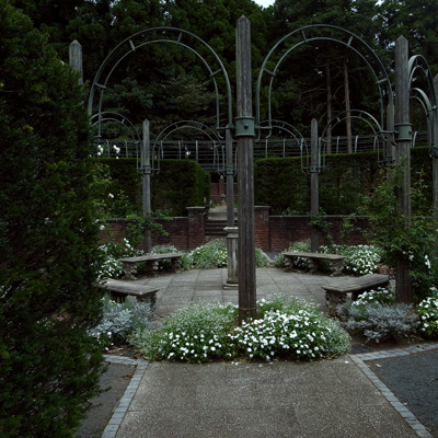 c0182231_17484992.jpg