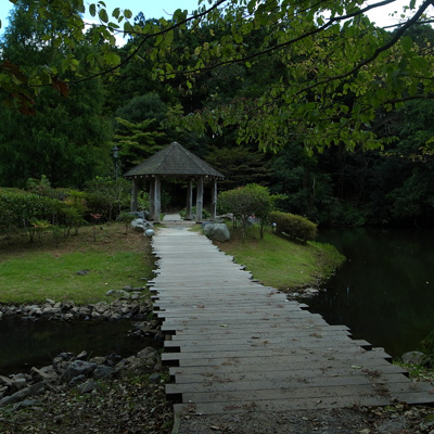 c0182231_1852467.jpg