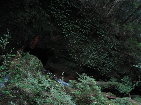 a0233432_22193745.jpg