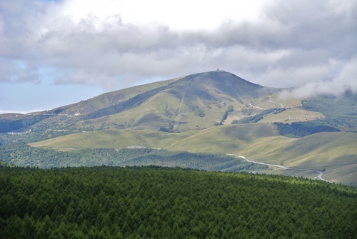d0170835_10432087.jpg