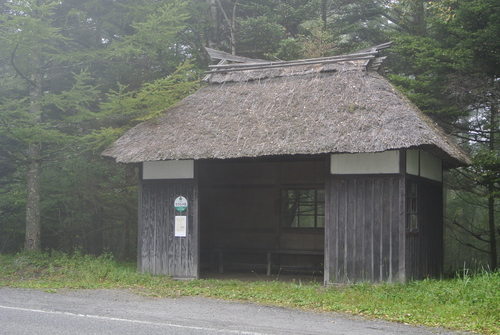 d0170835_1057058.jpg
