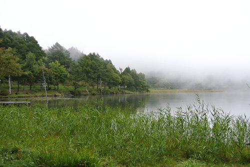 d0170835_1129279.jpg